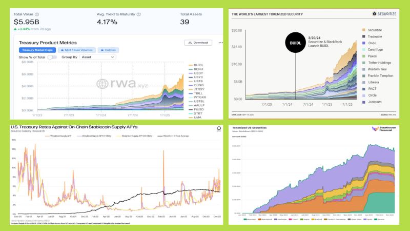 分析真实资本流动（链上现实）