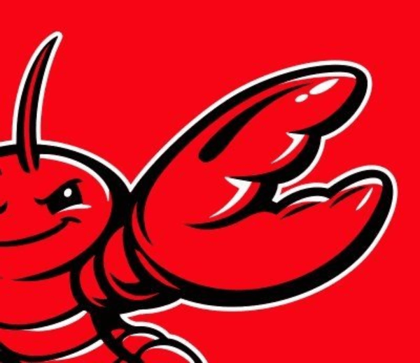 OpenClaw代币购买指南