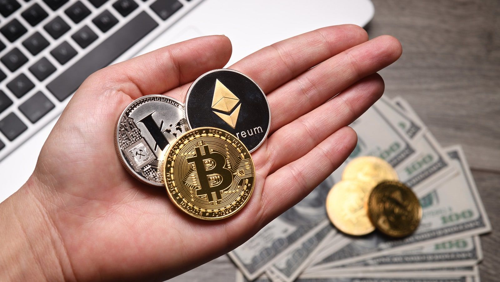 加密货币预售是什么？新手投资攻略与风险提示