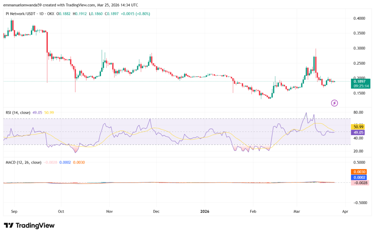 Pi 价格分析：一日分析