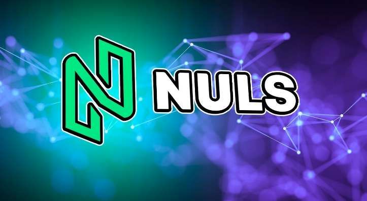 什么是NULS币？NULS工作原理、未来展望及价格预测