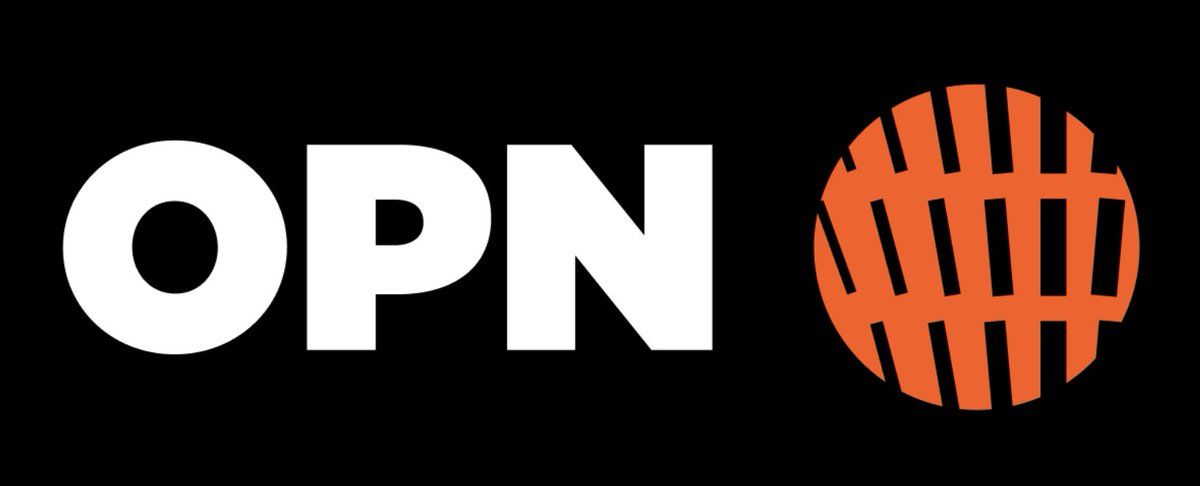 什么是Opinion(OPN)币？深入了解它运作方式及投资前景