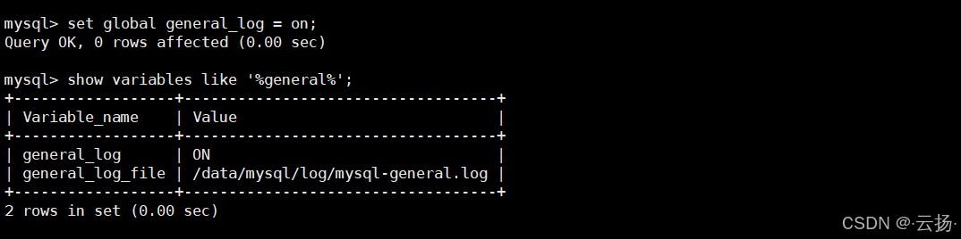 2.2.3 开启 General Log（可选，用于问题排查）