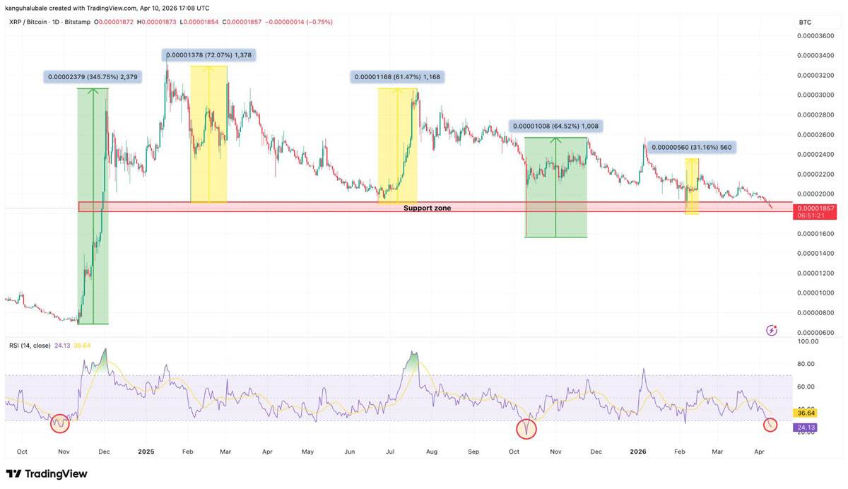 XRP守住支撑，底部信号现