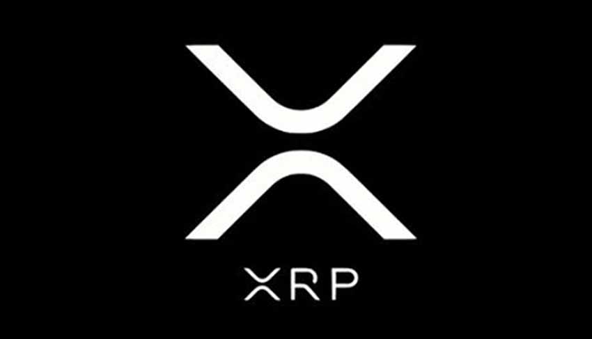 XRP币富豪榜：谁拥有最多 XRP？2026年财富阶层解析