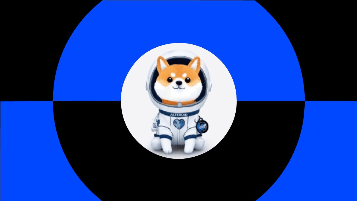 受SpaceX启发的小行星柴犬(ASTEROID)币是什么？特色、经济学介绍