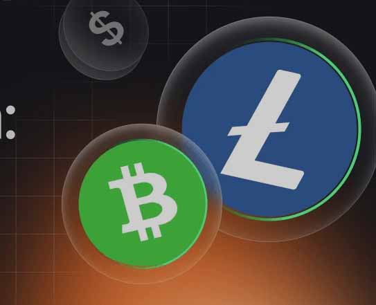 莱特币 vs 比特币现金：交易方式、成本、可扩展性对比分析