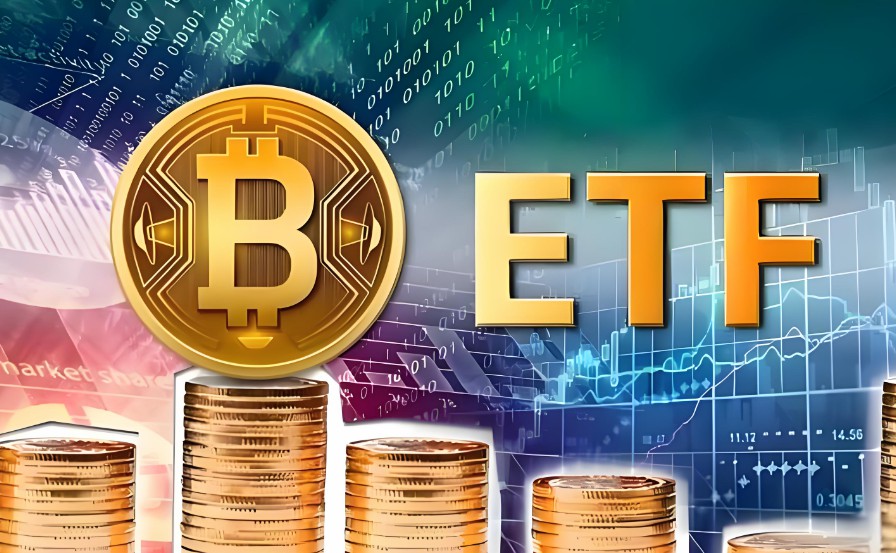 现货比特币（BTC）ETF连续9天资金净流入，投资者布局彰显长期韧性