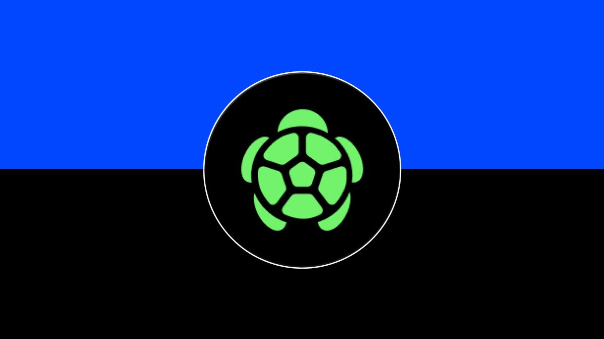 什么是Turtle (TURTLE)币？如何领取空投？代币功能、经济学介绍