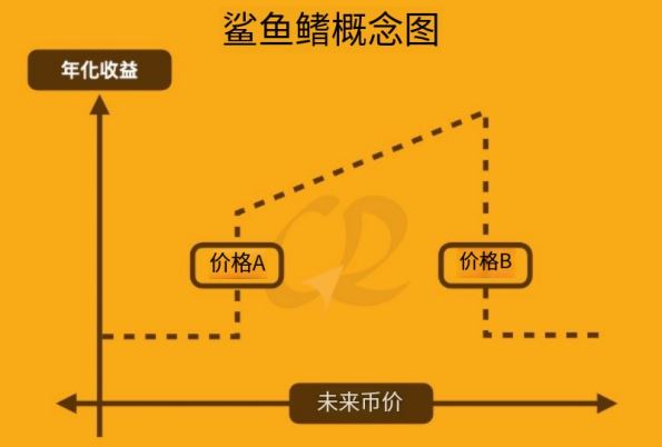 Bitget 鲨鱼鳍是什么