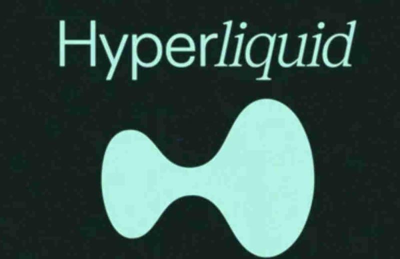 1. Hyperliquid：高性能应用链上的衍生品交易先驱