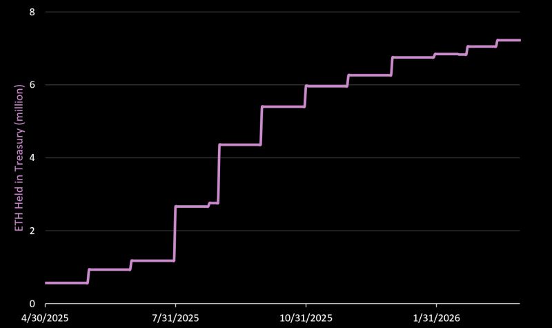 DAT 公司持有的 ETH