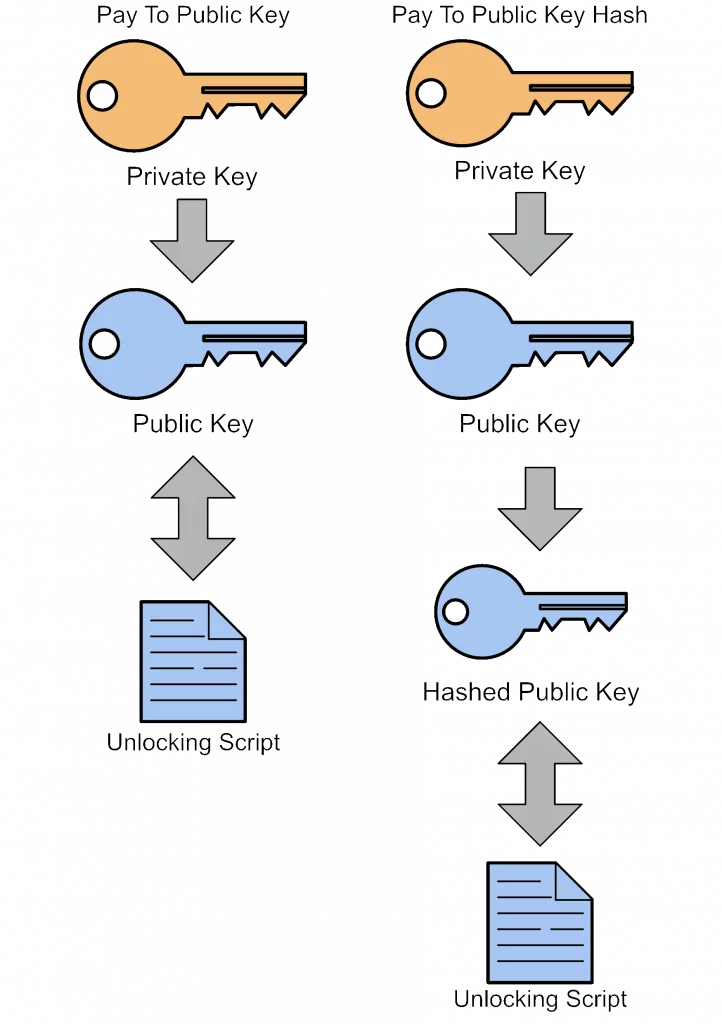 比特币vs 量子计算：一次讲透两者的区别与关系