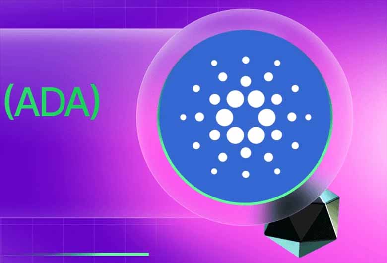 Cardano (ADA)币富豪榜：谁拥有最多的 Cardano？一文详解