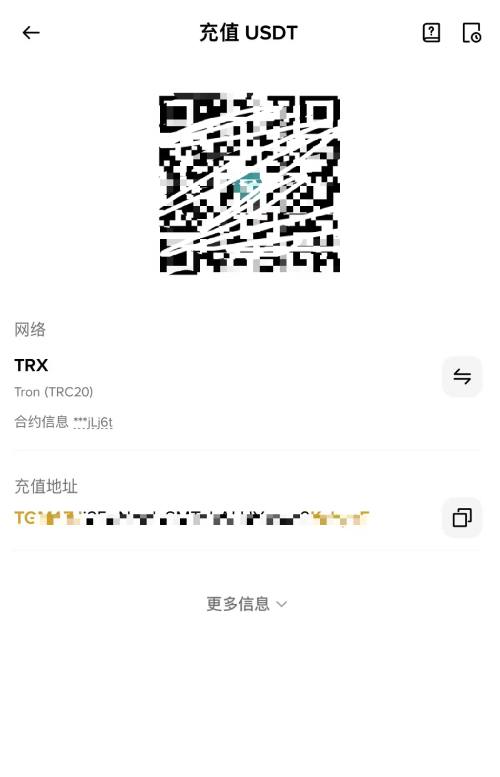 复制加密货币地址时再次确认正确性