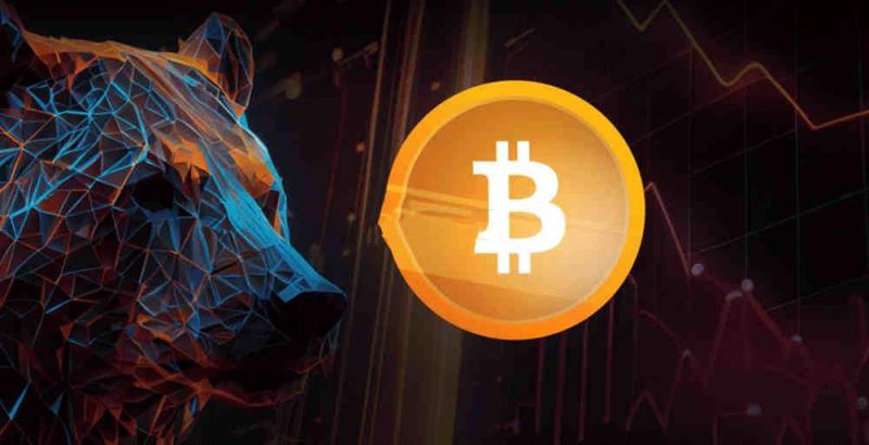 比特币在哪个国家是合法的？