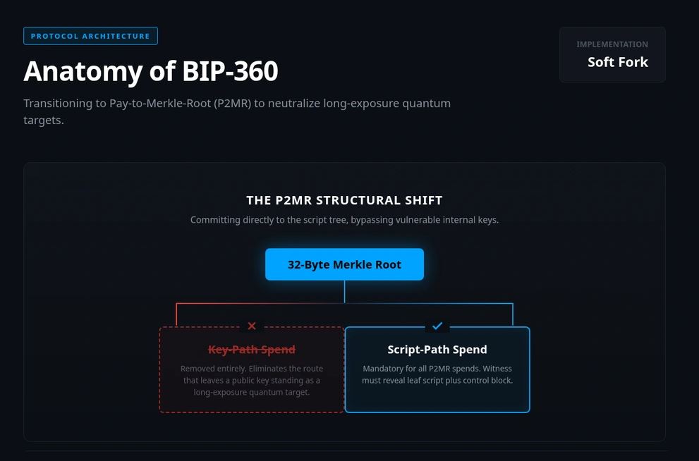 BIP-360 组成部分