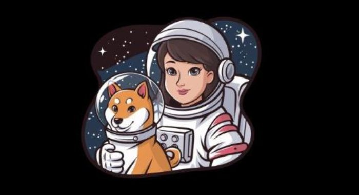 Asteroid(ASTEROID)全面介绍