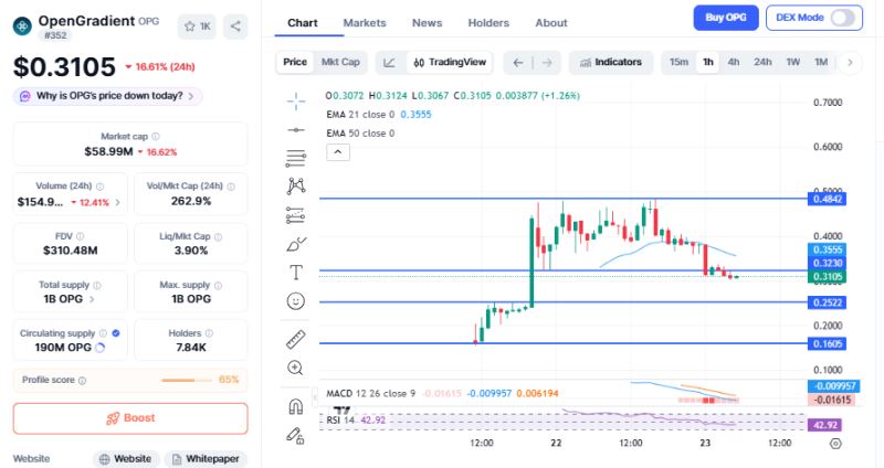 OPG价格图表：回调后的关键价位