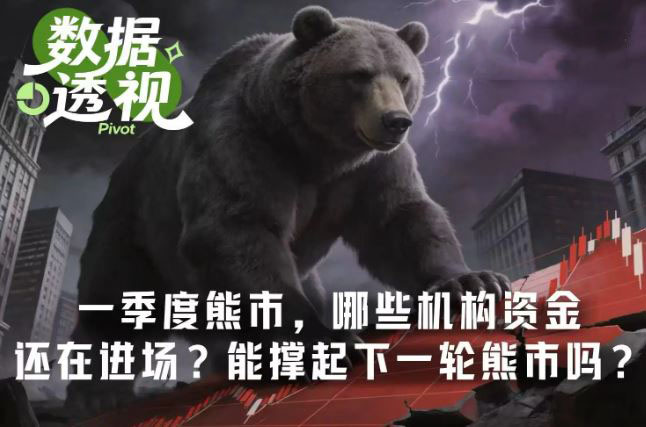 导言：谁在为下一轮牛市埋伏笔？