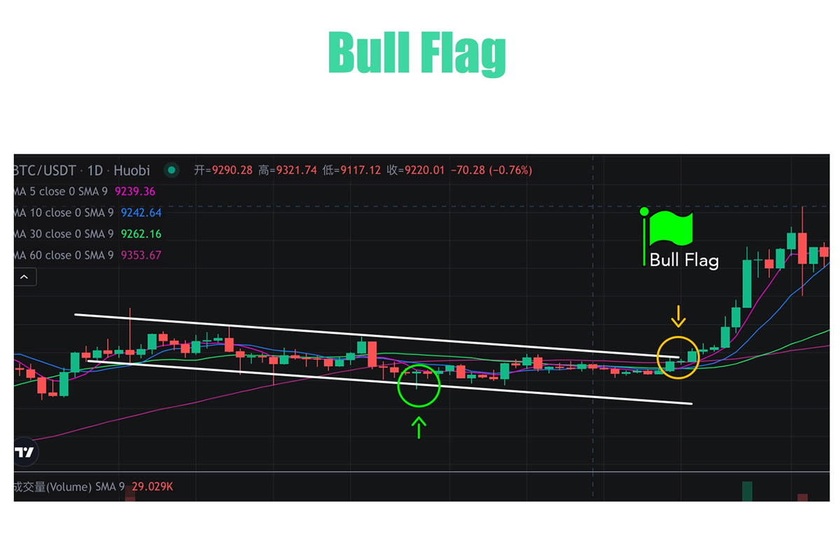 熊旗和牛旗形态新手指南