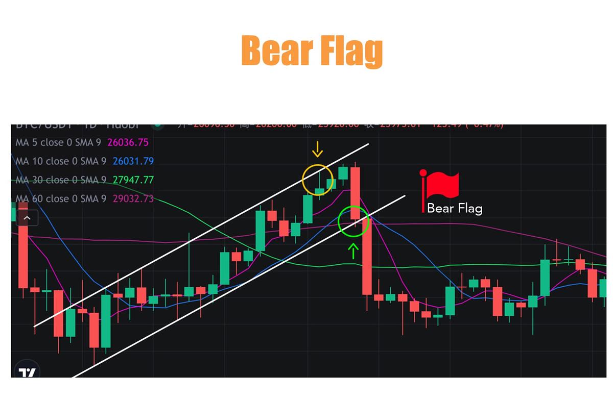 熊旗和牛旗形态新手指南