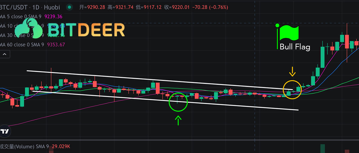 熊旗和牛旗形态新手指南：如何识别、交易牛旗和熊旗形态？