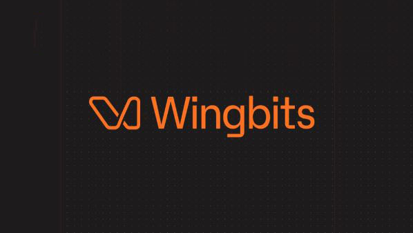 什么是Wingbits(WINGS)币？值得投资吗？WINGS币工作原理、代币经济及前景分析