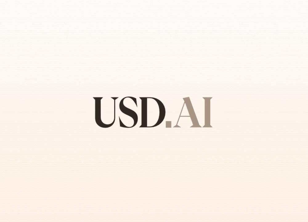 USD.AI(CHIP)币全面解析：价格走势、投资前景与购买指南