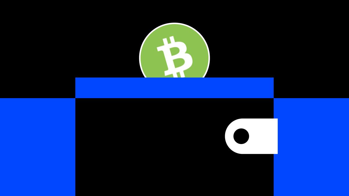 2026年最佳的Bitcoin Cash (BCH)钱包有哪些？顶级钱包评测（2026年）