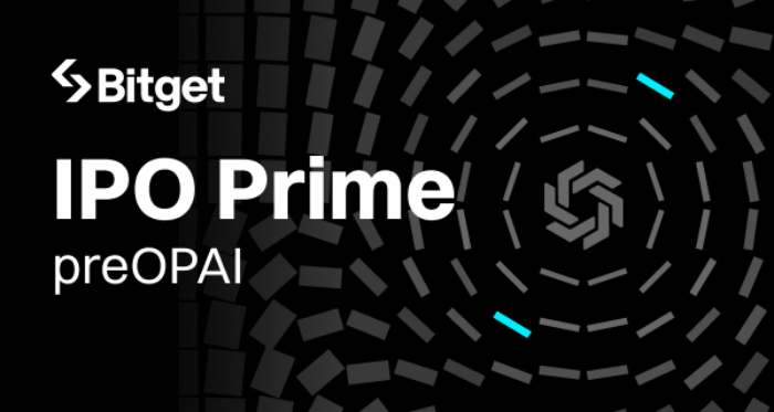 OpenAI(preOPAI)购买教学