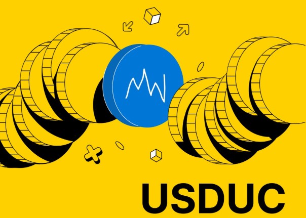 什么是不稳定币（USDUC）？迷因币USDUC 2026年价格预测与分析
