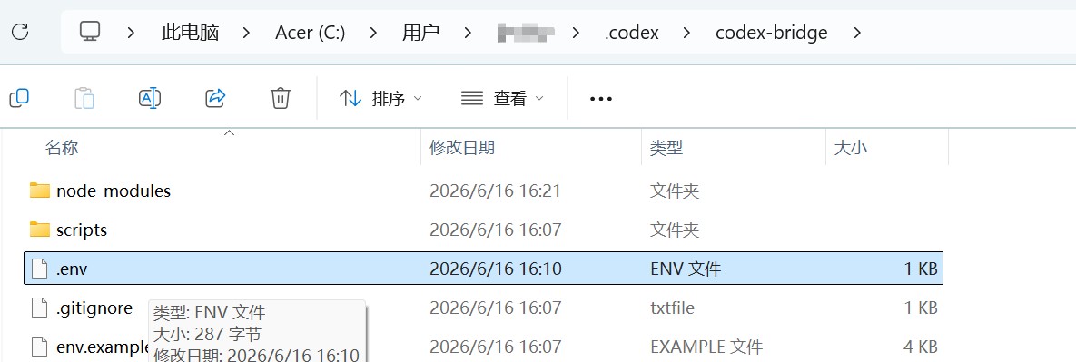 配置DeepSeek-V4代理