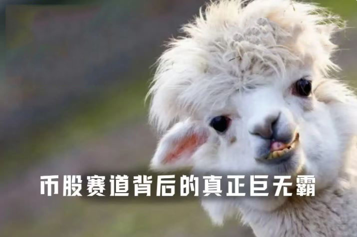 独占94%市场份额，谁是币股竞赛背后的真正赢家？