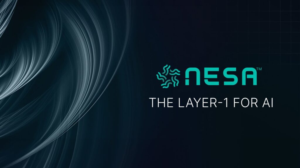 Nesa是什么