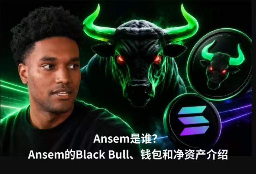 Ansem是谁？Ansem的Black Bull、钱包和净资产介绍
