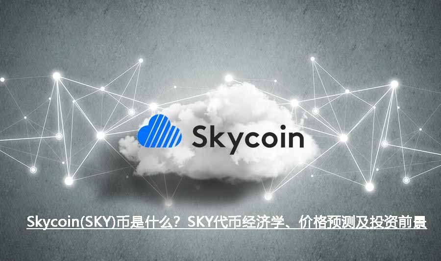 Skycoin(SKY)币是什么？SKY代币经济学、价格预测及投资前景