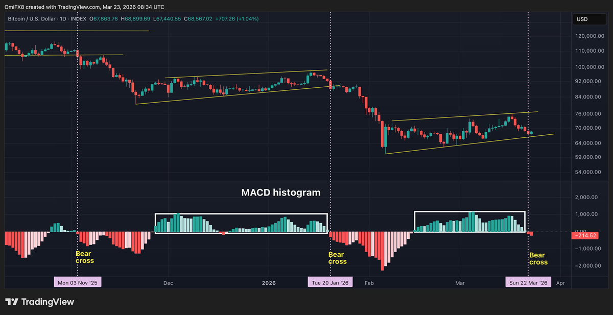 十大技术指标解读比特币：MACD、RSI、布林带、斐波那契
