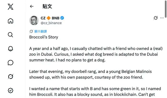 CZ 与 BNB Chain 迷因币