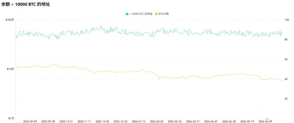 比特币链上信号