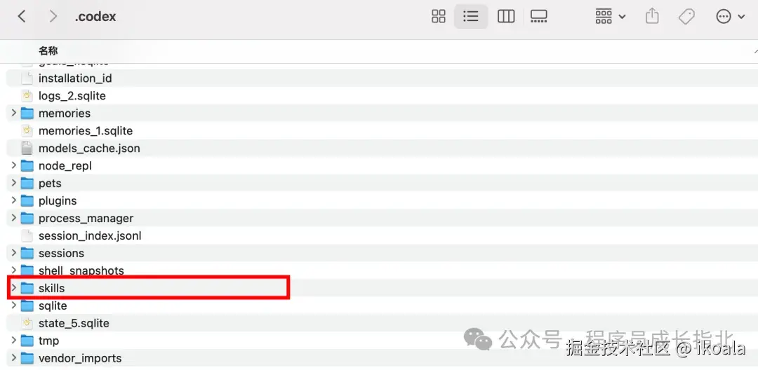 第五步：Skills 是什么