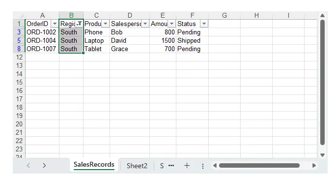使用 Python 在 Excel 中按文本条件筛选