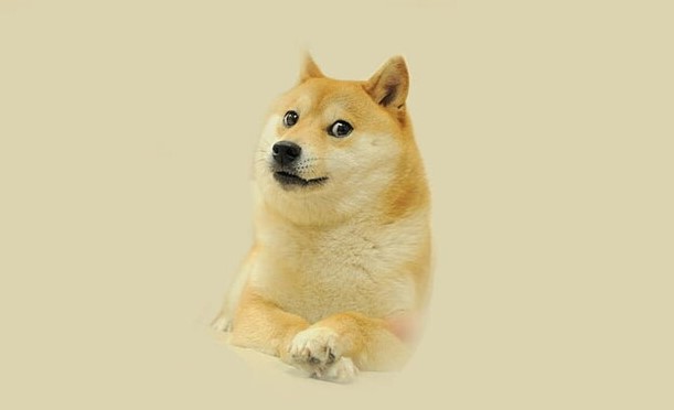 DOGE成交量逆势上升，跻身前20币种异动资产