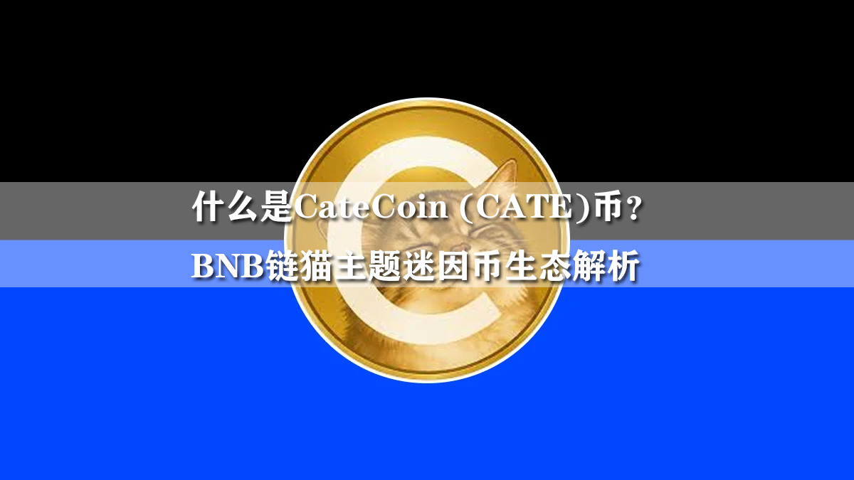 什么是CateCoin (CATE)币？BNB链猫主题迷因币生态解析