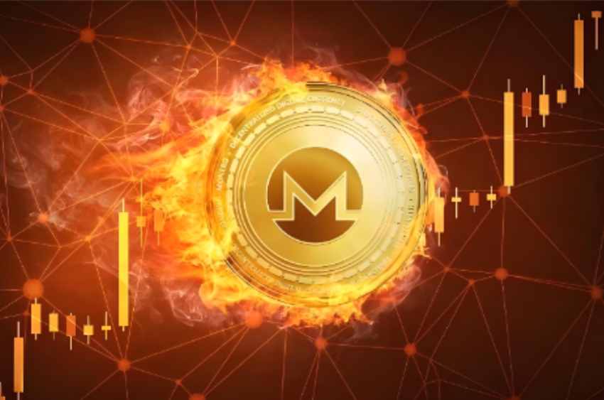 灰度推Zcash ETF破830美元，隐私币普涨