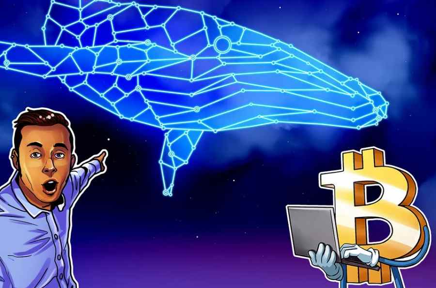 比特币（BTC）巨鲸未实现收益突破 90 亿美元，高位浮盈催生卖方离场风险