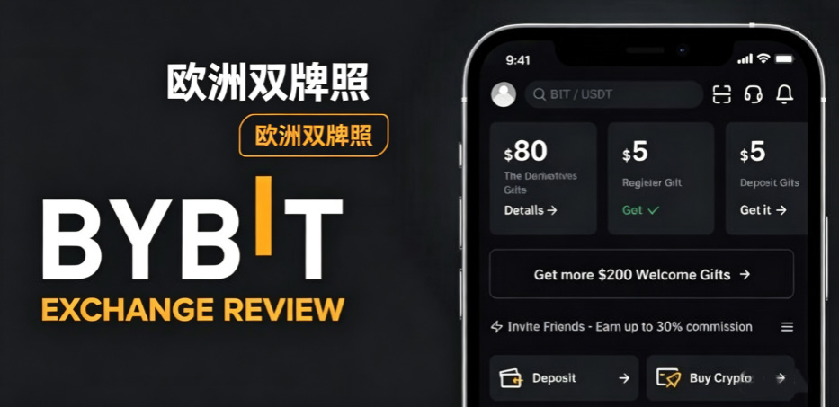 EMI牌照（支付与电子货币业务）