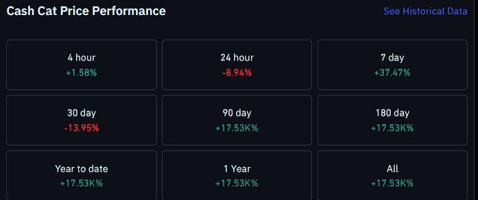 Robinhood Chain新手完全指南