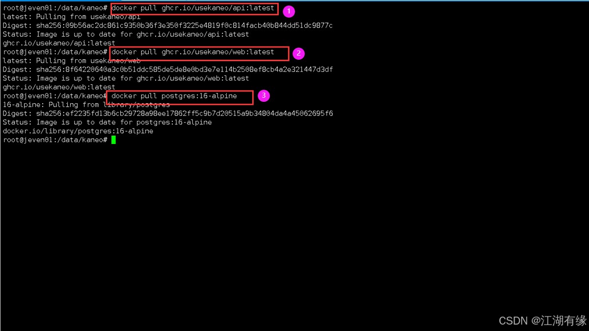 Docker部署Kaneo项目管理工具的实现示例_docker_脚本之家