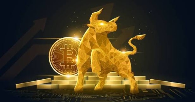 利好因素：牛市并未宣告结束